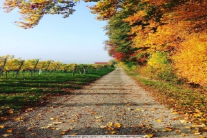 快乐周末东风御风房车带你追逐秋风