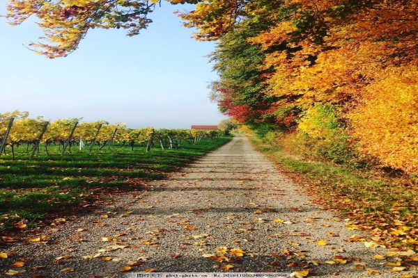 快乐周末东风御风房车带你追逐秋风