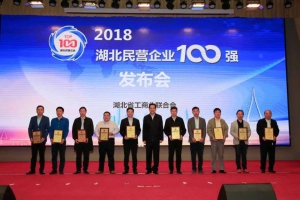 程力汽车集团强势挺进湖北省民企制造业100强前列