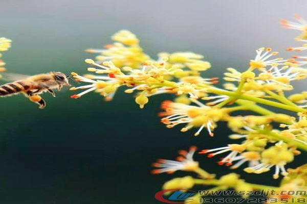 6万买车加改装，自改福特新全顺房车畅游云南